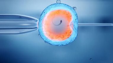 2026辽宁试管婴儿医院排名参考，医生推荐这3家试管医院