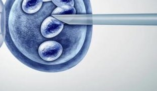 香港试管婴儿去哪做？香港三代试管婴儿费用大概多少钱