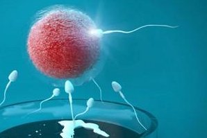 广州第三代试管婴儿费用贵吗？费用包含哪些？